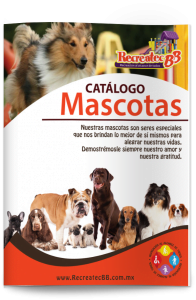 Imagen-catalogo-mascotas-circuitos-caninos-agility-recreatec-bb