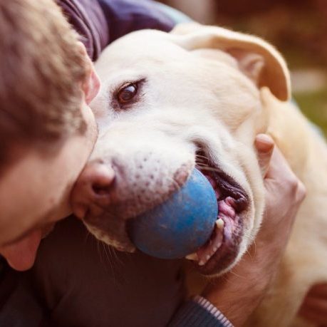 foto de un perro feliz con su pelota