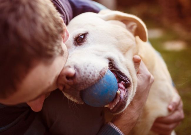 dia-mundial-del-perro foto de un perro feliz con su pelota