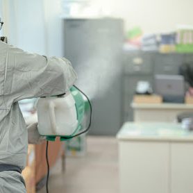 servicio de sanitizacion