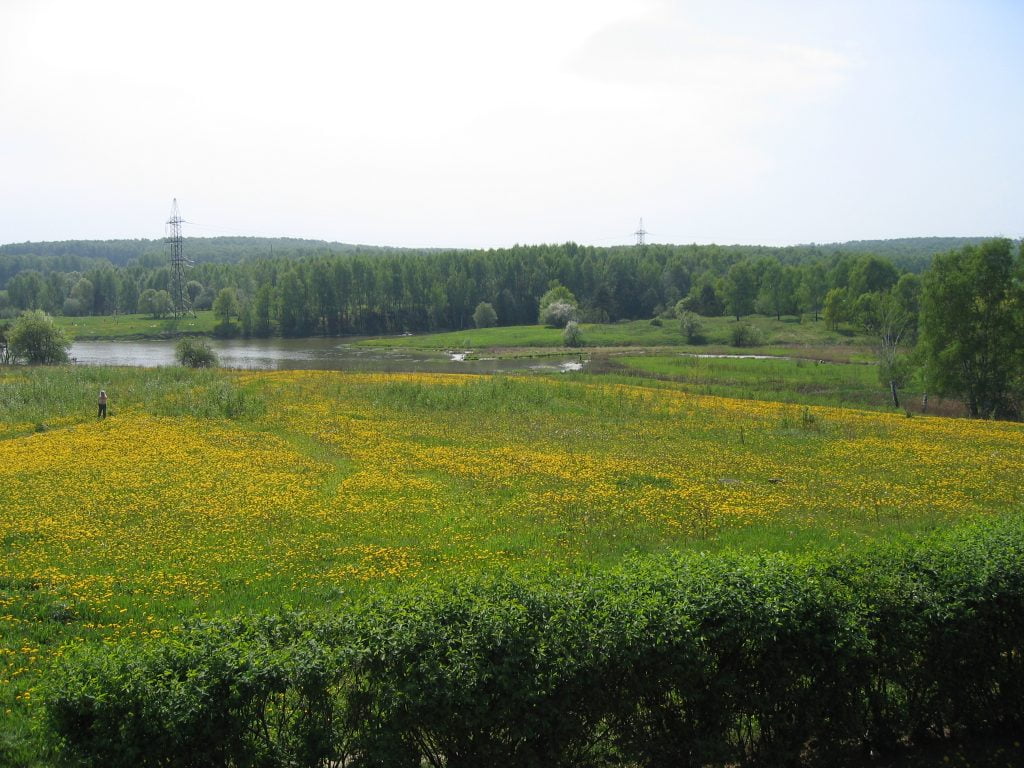 MOSCU