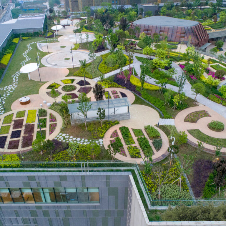 Imagen de Parques en los Techos