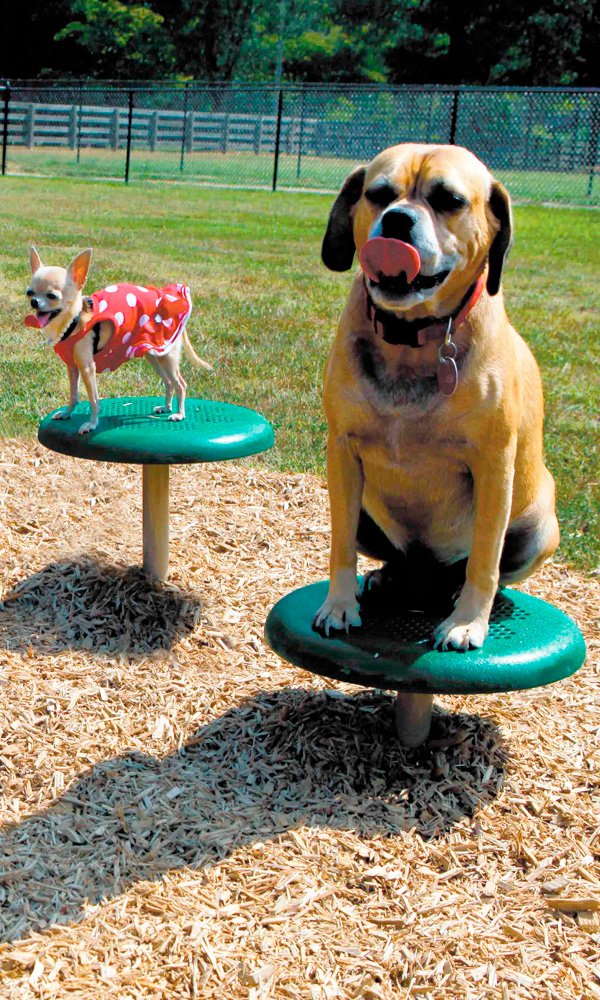 7 ideas de Parque para perros  parque para perros, perros, parques