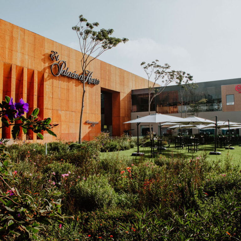 Plazas Comerciales para toda la Familia