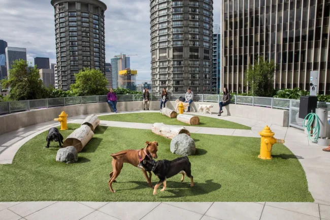 Tendencias de Parques Caninos