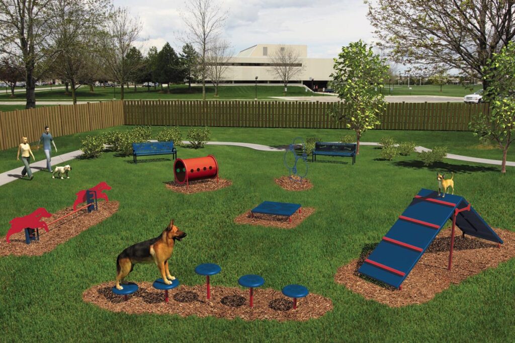 Imagen de 5 errores al construir un parque canino