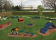 Imagen de 5 errores al construir un parque canino