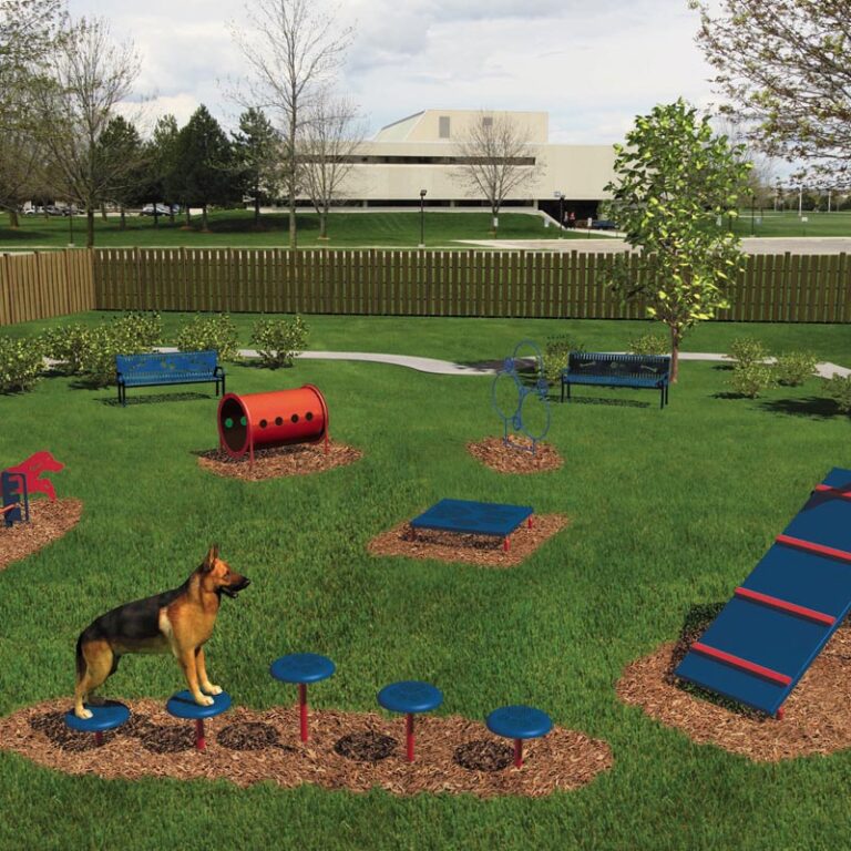 Imagen de 5 errores al construir un parque canino