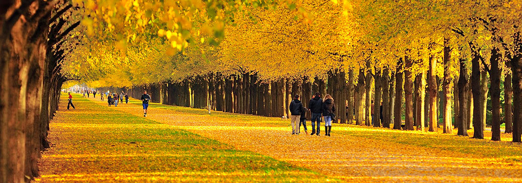 Caminata sensorial en el bosque Imagen de Caminata sensorial en el bosque