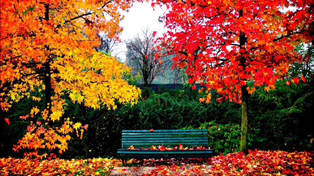 Imagen de Juegos sensoriales en otoño