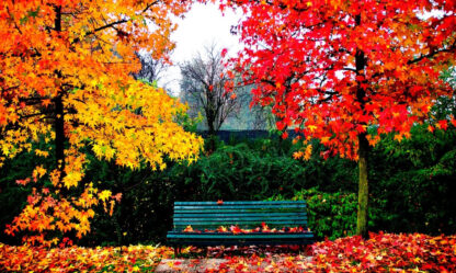 Imagen de Juegos sensoriales en otoño