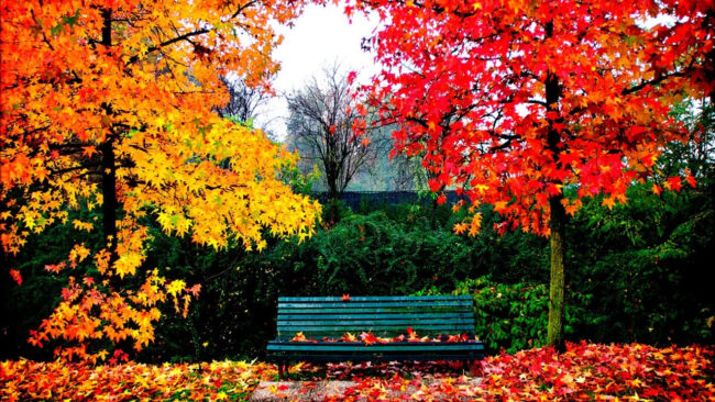 Juegos sensoriales en otoño Imagen de Juegos sensoriales en otoño