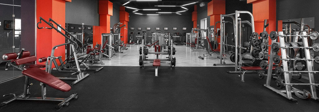 Imagen de GIMNASIOS TRADICIONALES