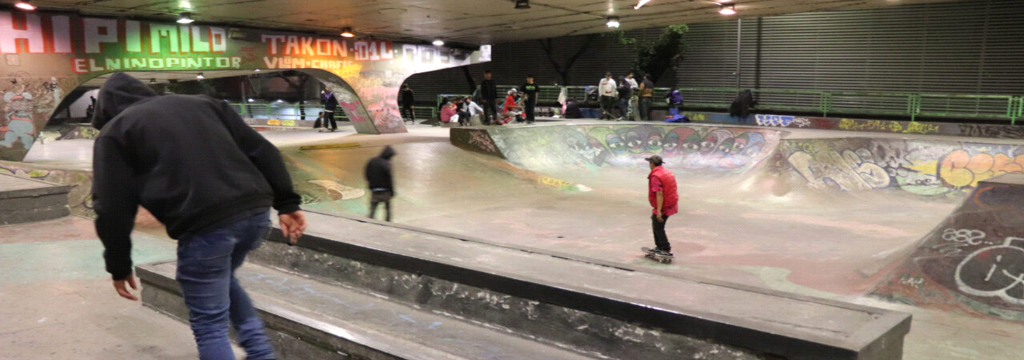 Imagen de Transformación y aprovechamiento de bajo puentes