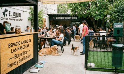 Imagen de La Importancia de los Espacios Pet Friendly este 2026