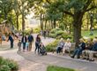 Imagen de Parques Intergeneracionales